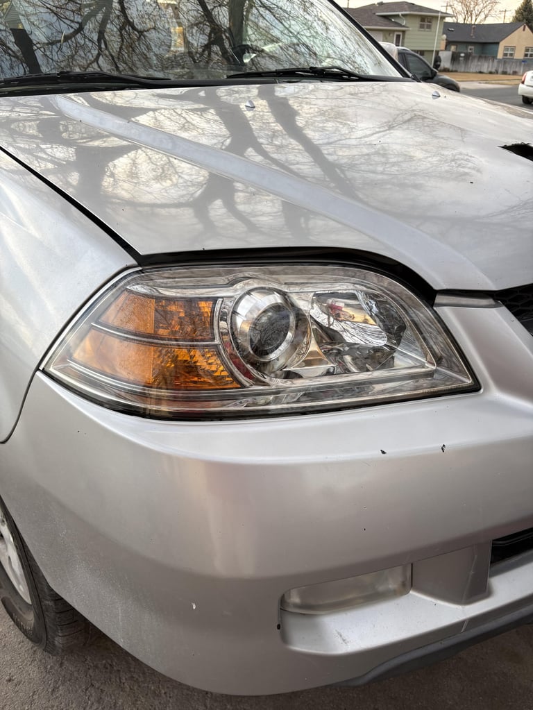 Close-up of white cars front headlight and hood with bare tree branches reflected on windshield